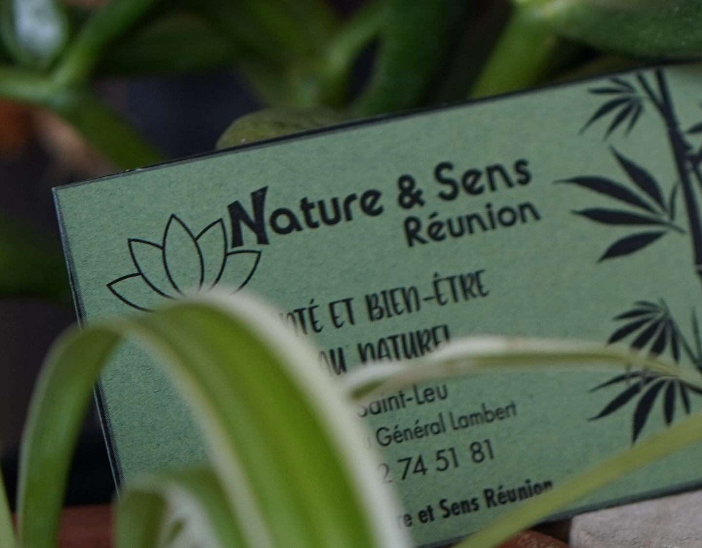 boutique bio nature reunion